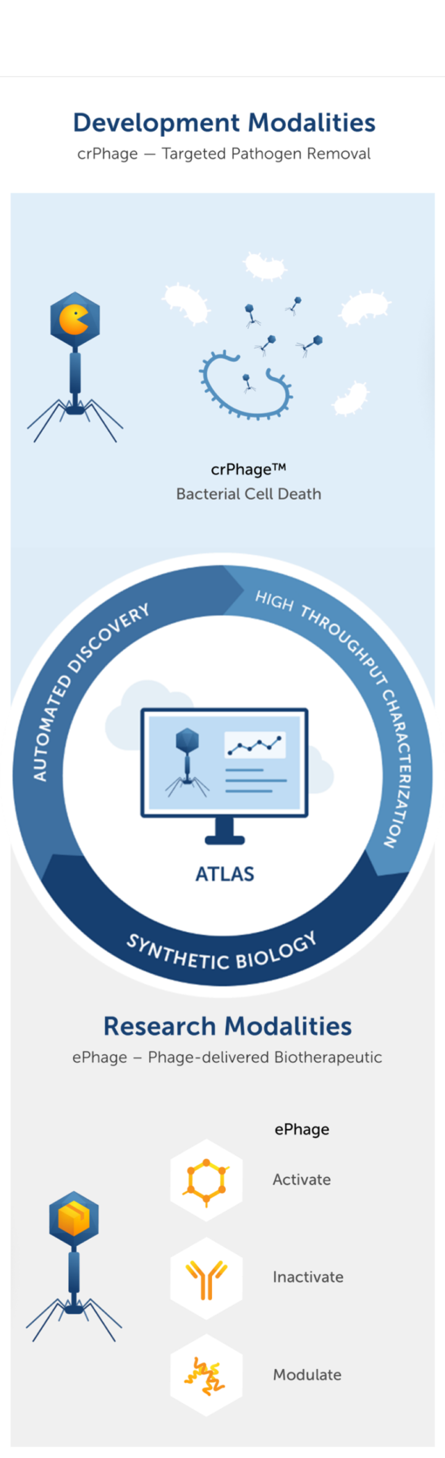 Updated Website Mobile Platform_compress 2
